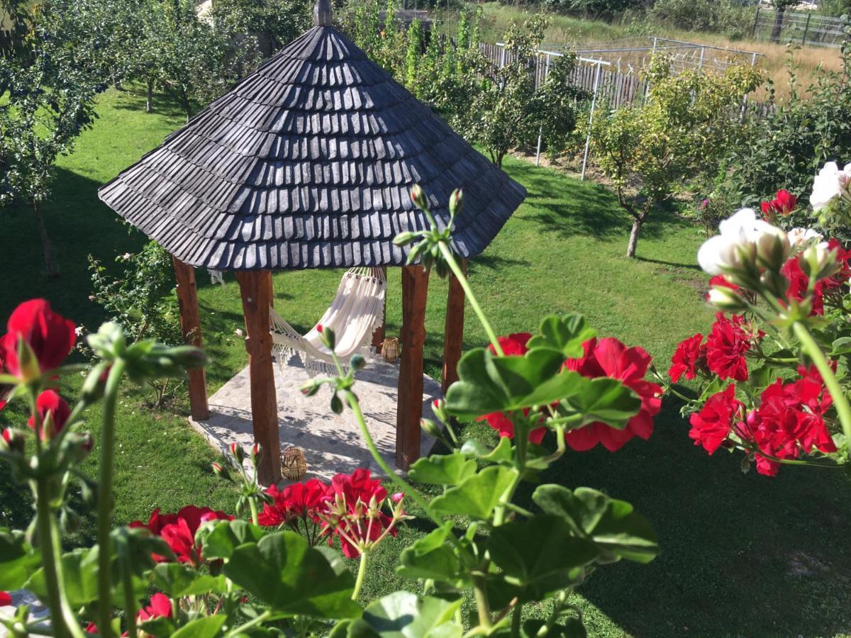 Casa Moldovan Ocna Şugatag Exterior foto